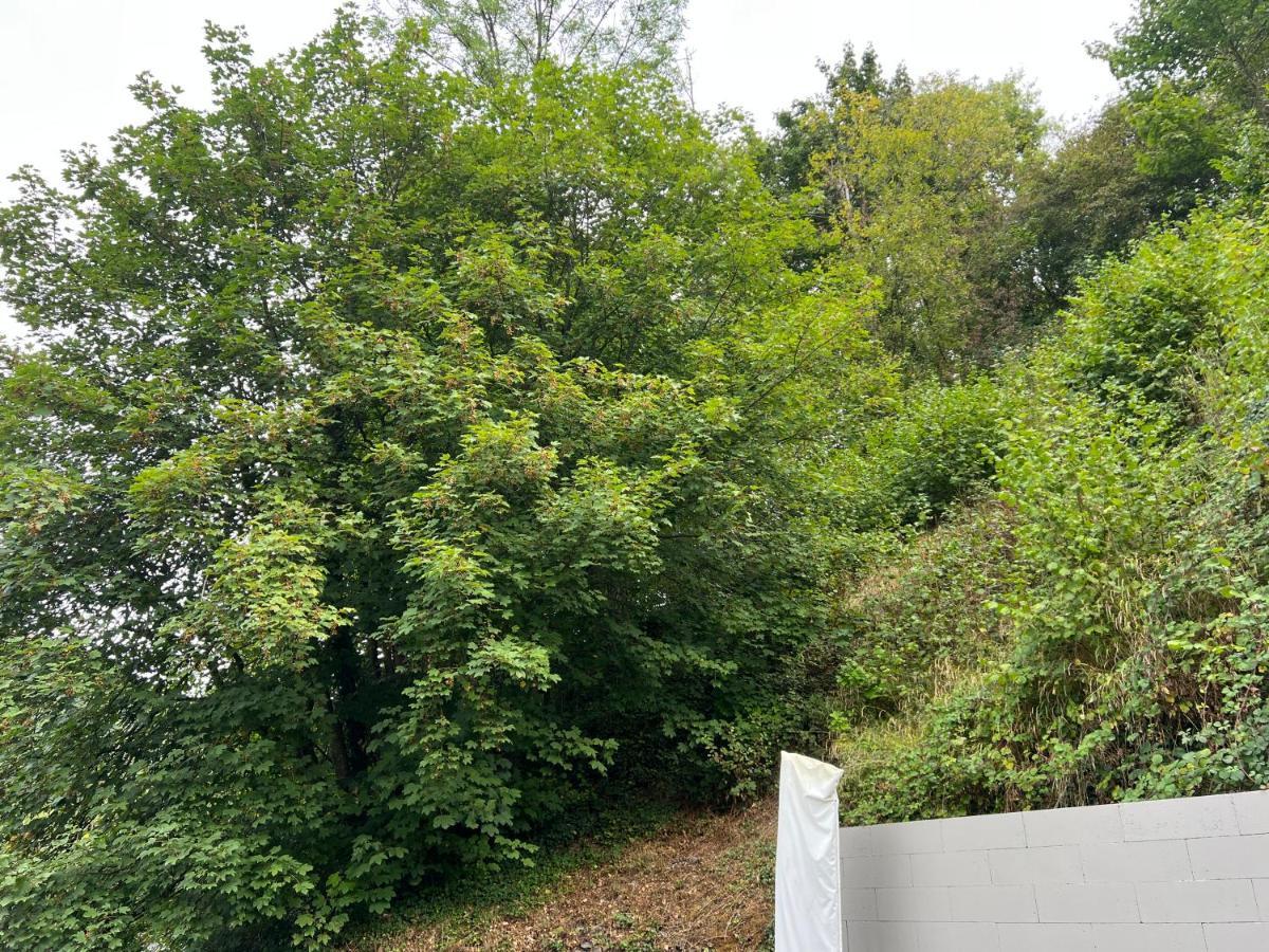 Aux Berges Du Bocq Villa Yvoir Exterior photo